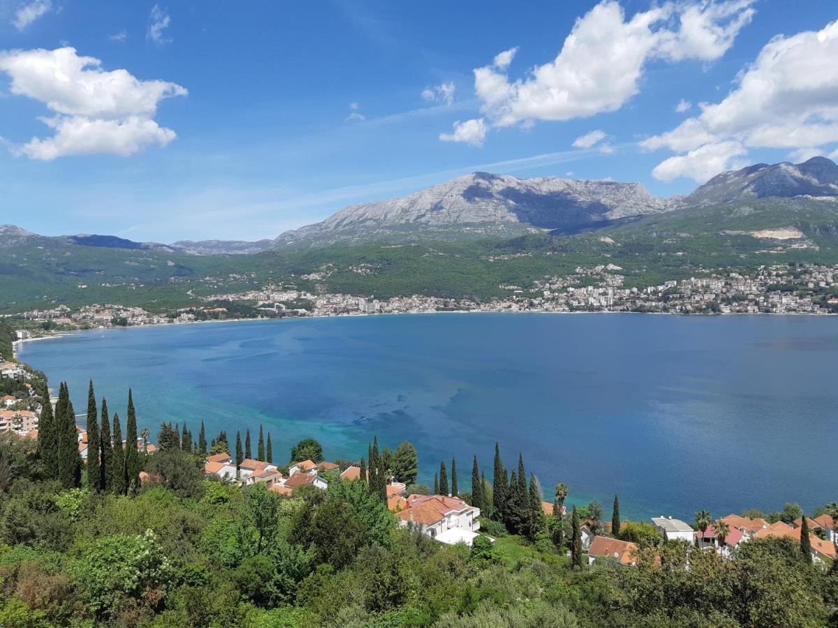 Villa Garden Apartments Χέρτσεγκ Νόβι Εξωτερικό φωτογραφία