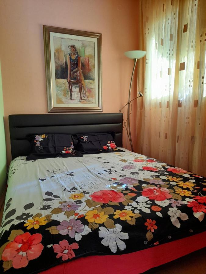 Villa Garden Apartments Χέρτσεγκ Νόβι Εξωτερικό φωτογραφία