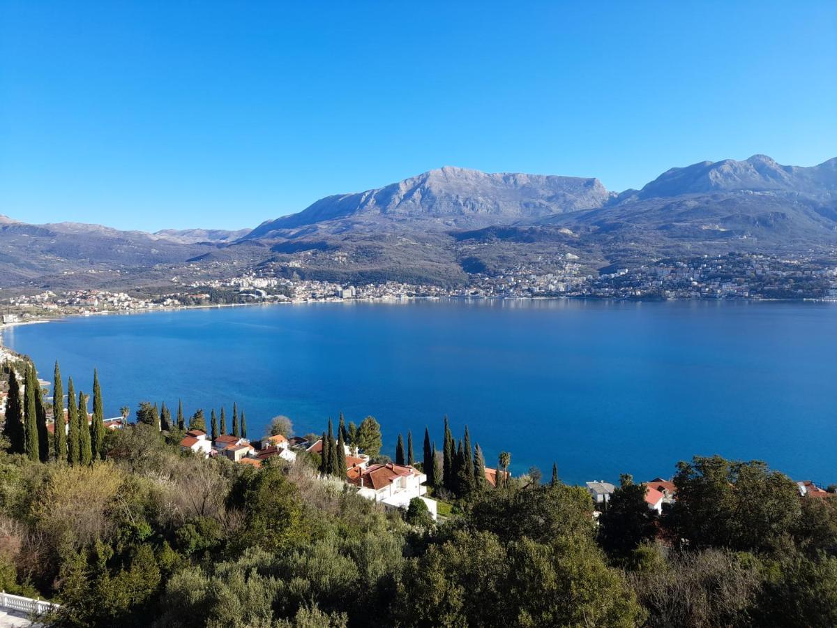 Villa Garden Apartments Χέρτσεγκ Νόβι Εξωτερικό φωτογραφία