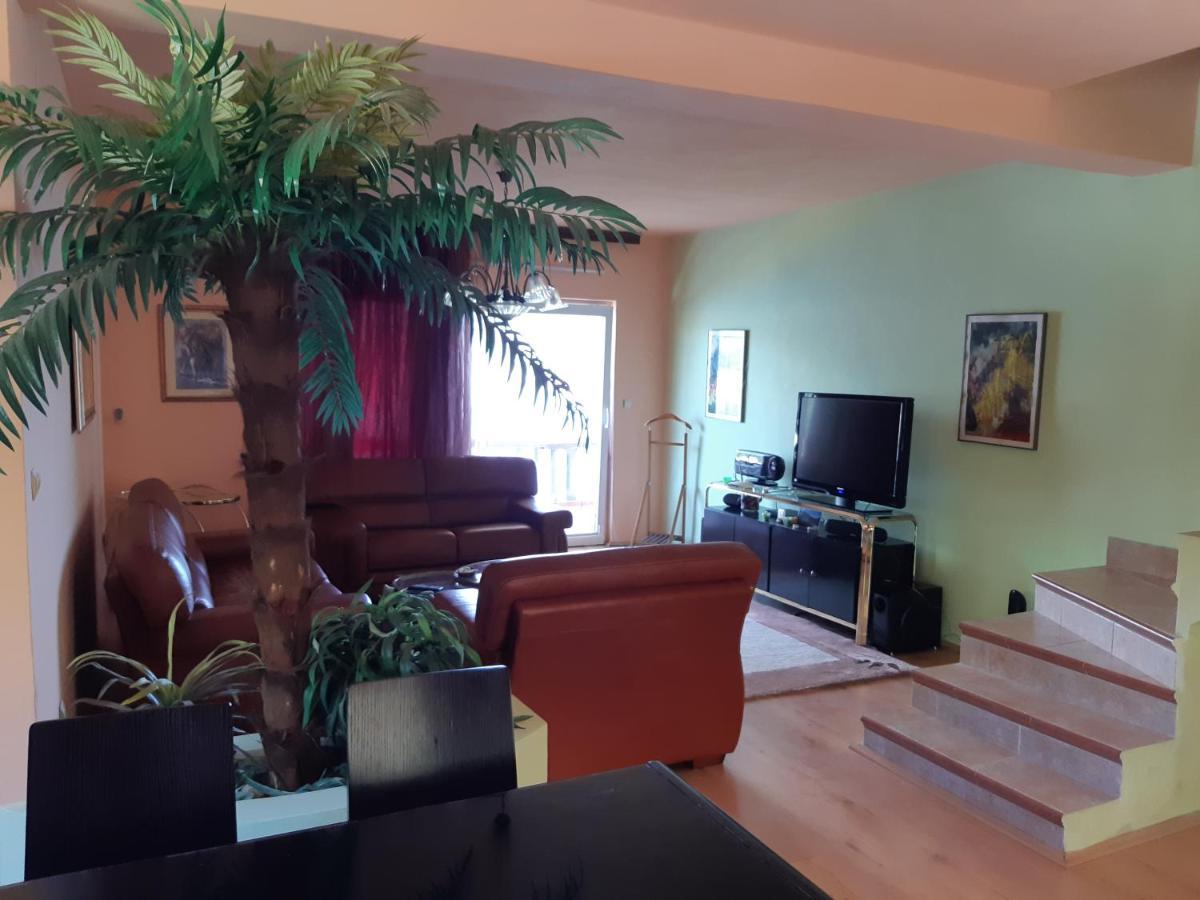 Villa Garden Apartments Χέρτσεγκ Νόβι Εξωτερικό φωτογραφία