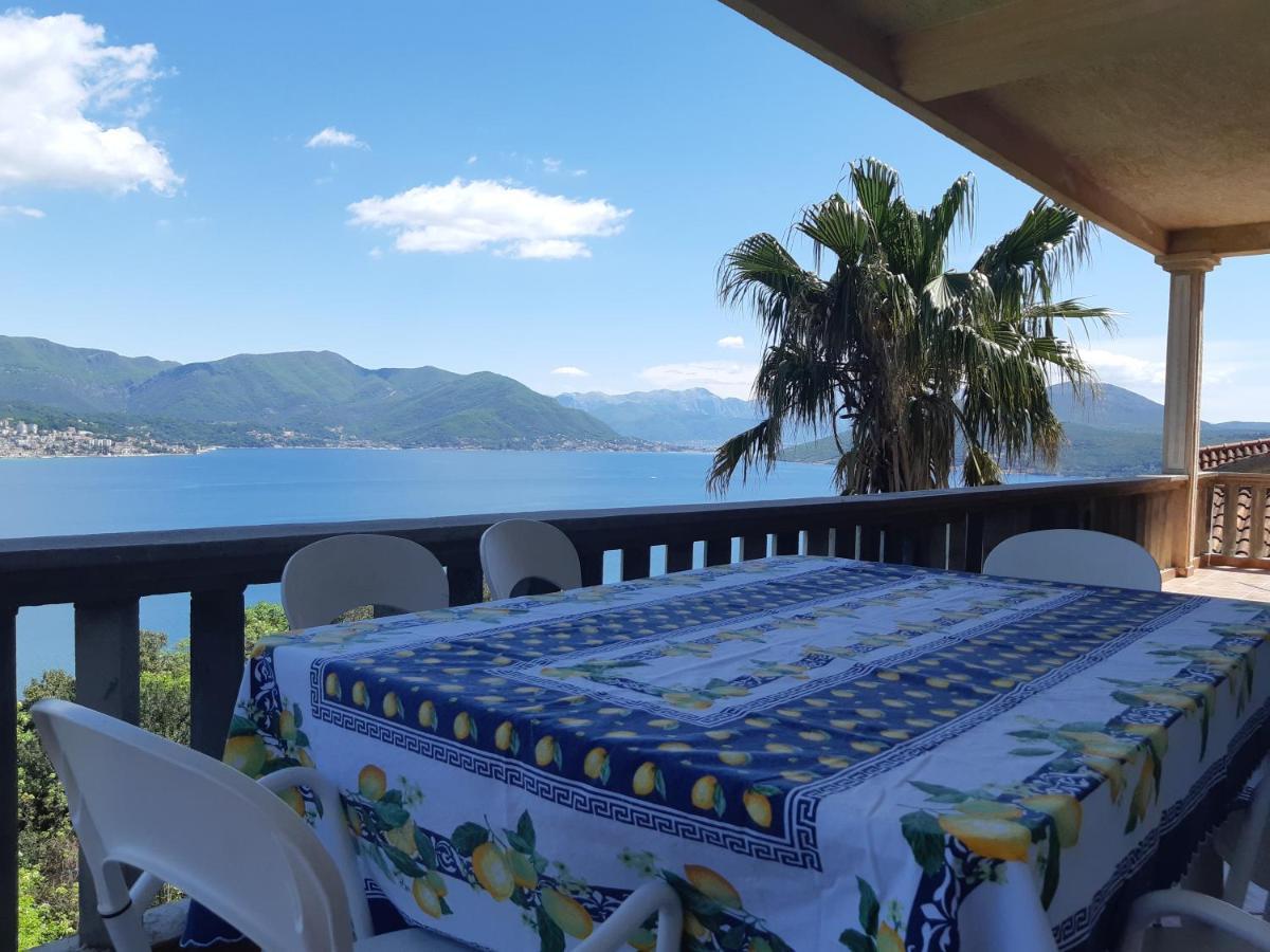 Villa Garden Apartments Χέρτσεγκ Νόβι Εξωτερικό φωτογραφία