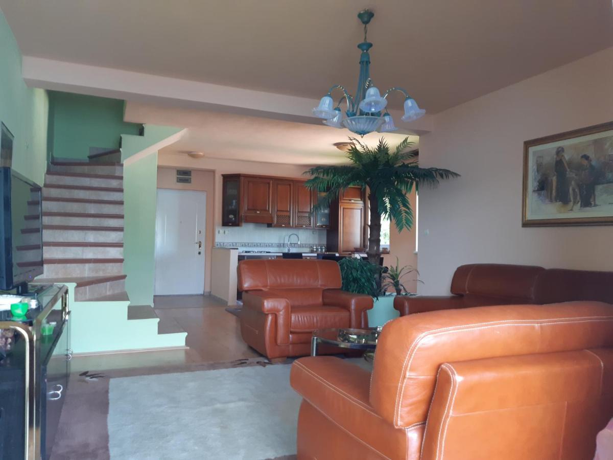 Villa Garden Apartments Χέρτσεγκ Νόβι Εξωτερικό φωτογραφία
