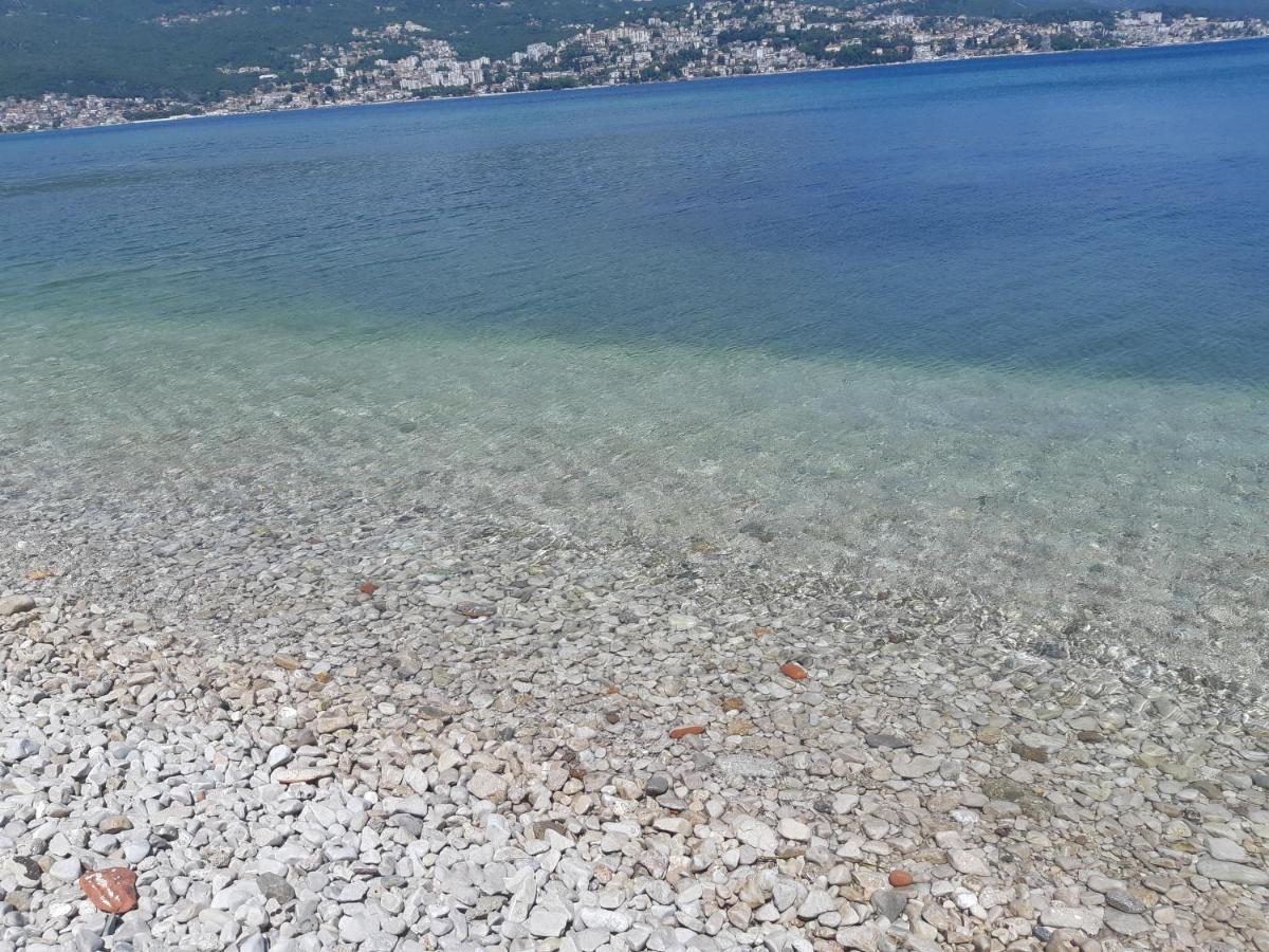 Villa Garden Apartments Χέρτσεγκ Νόβι Εξωτερικό φωτογραφία