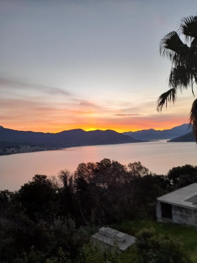Villa Garden Apartments Χέρτσεγκ Νόβι Εξωτερικό φωτογραφία